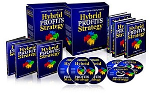 Hybrid Profits Strategy �n�C�u���b�h�E�v���t�B�b�c�E�X�g���e�W�[ �w�n�C�u���b�h�E�v���t�B�b�c�헪�x �̃y�[�W��